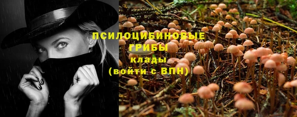 ALPHA PVP Алексеевка